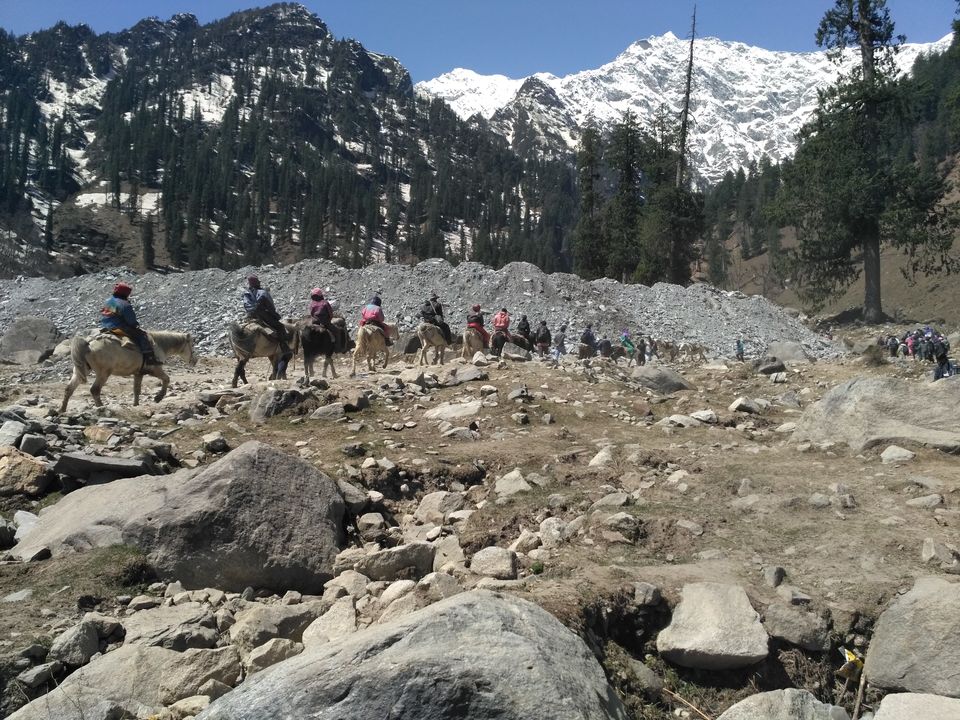Photo of 15 PHOTOS TO INSPIRE YOU TO VISIT MANALI 1/15 by Vikas Sawant