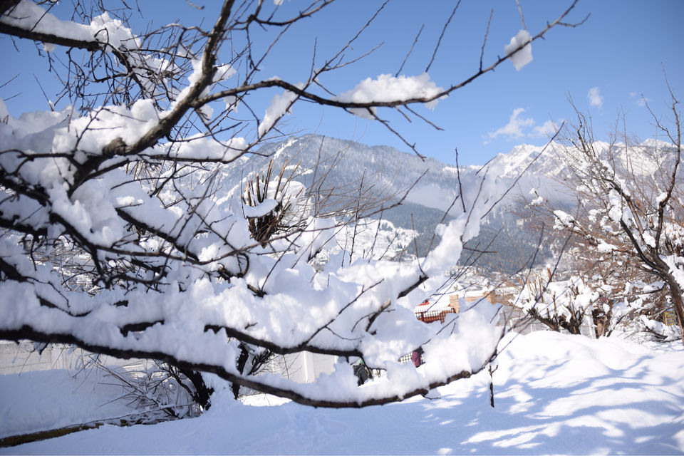 Photo of Trip To India’s First Igloo Stay by Yase Hibu