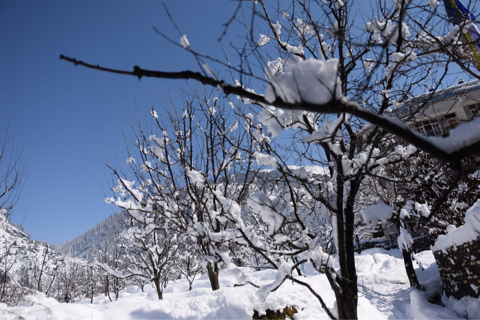 Photo of Trip To India’s First Igloo Stay by Yase Hibu