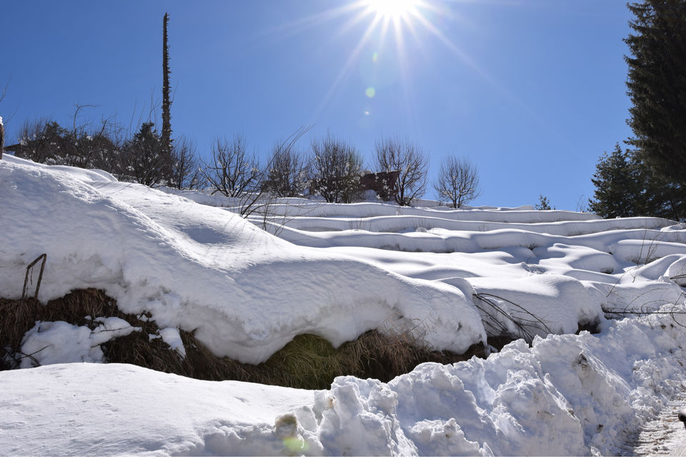 Photo of Trip To India’s First Igloo Stay by Yase Hibu
