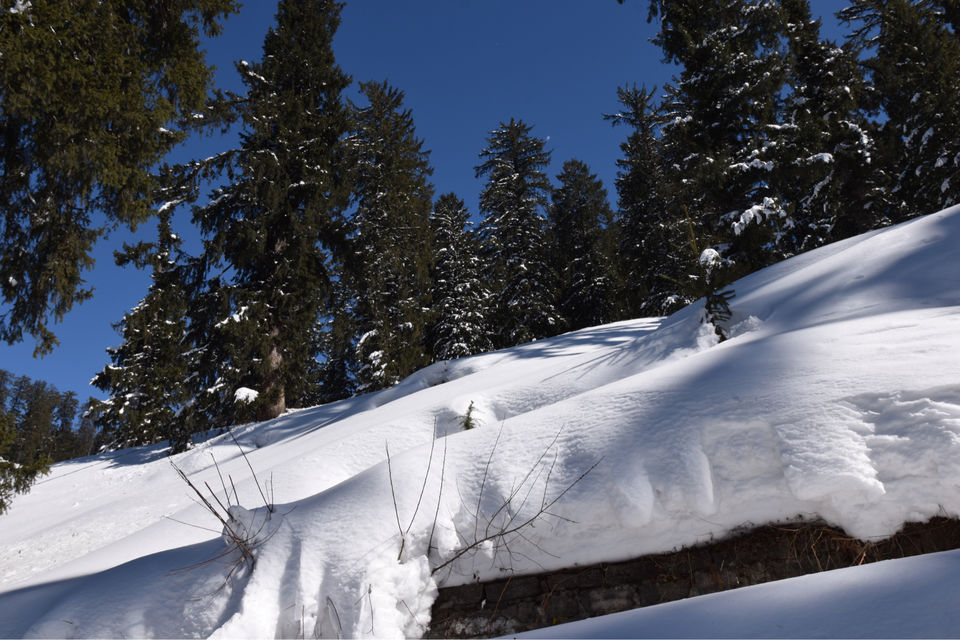 Photo of Trip To India’s First Igloo Stay by Yase Hibu