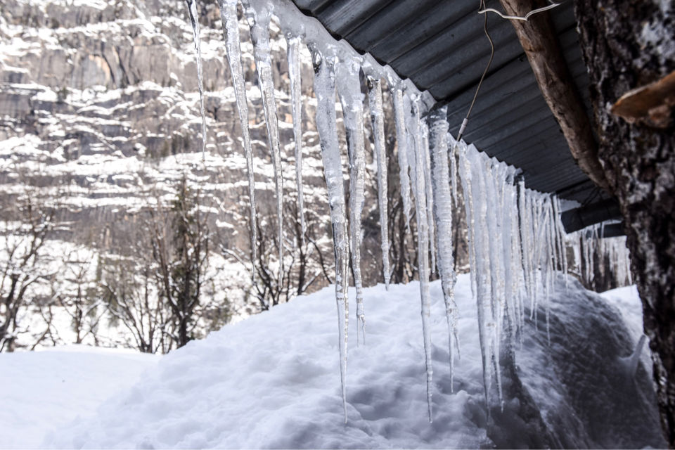 Photo of Trip To India’s First Igloo Stay by Yase Hibu