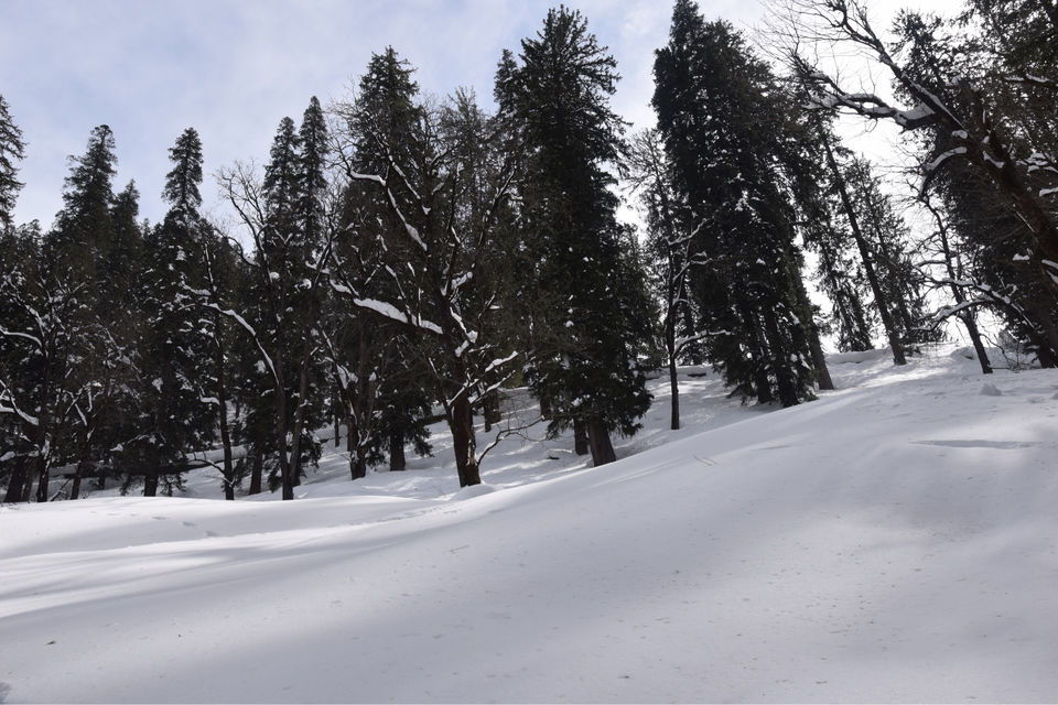 Photo of Trip To India’s First Igloo Stay by Yase Hibu