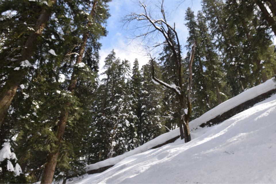 Photo of Trip To India’s First Igloo Stay by Yase Hibu