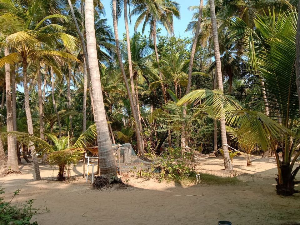 Photo of Mesmerizing Malvan... by Story That Clicks