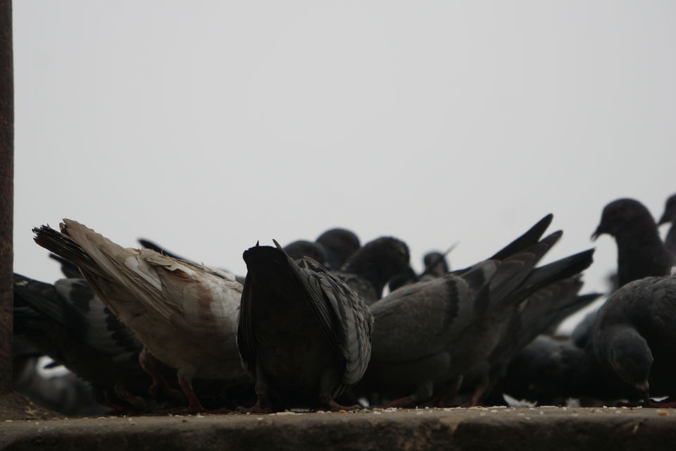 Photo of VaRaNaSi, INDIA’S SPIRITUAL CITY 19/47 by Anurag Anu