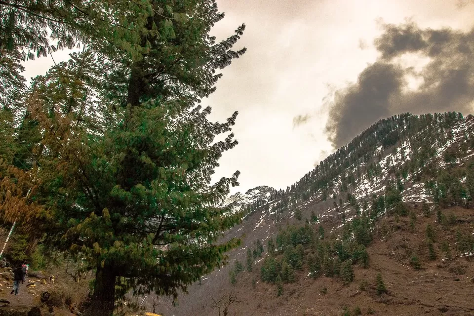 Photo of Parvati Valley by Nehal Khan