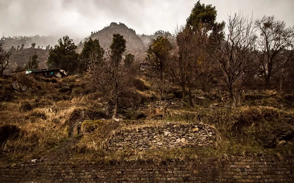 Photo of Parvati Valley by Nehal Khan