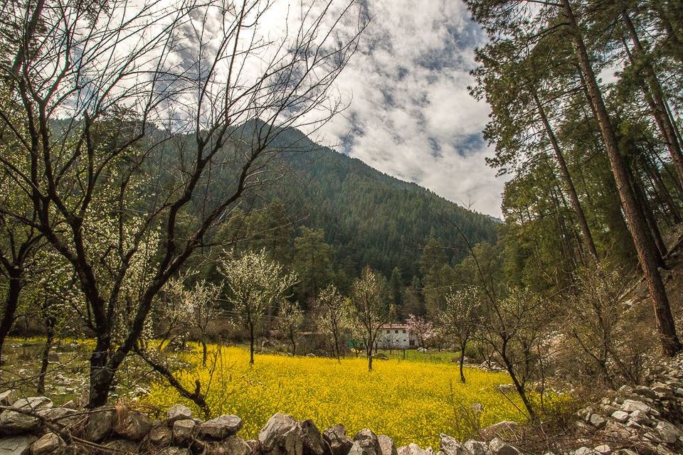 Photo of Parvati Valley - March'2015 by Nehal Khan