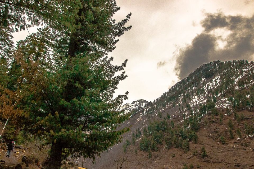 Photo of Parvati Valley - March'2015 by Nehal Khan