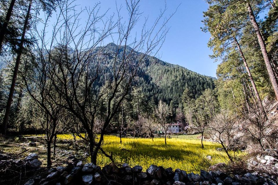 Photo of Parvati Valley - March'2015 by Nehal Khan