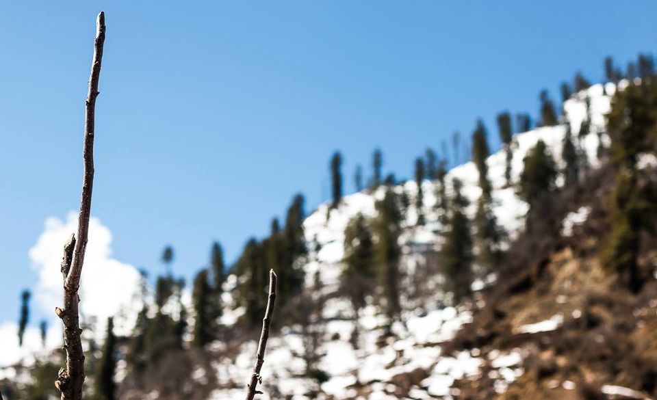 Photo of Parvati Valley - March'2015 by Nehal Khan