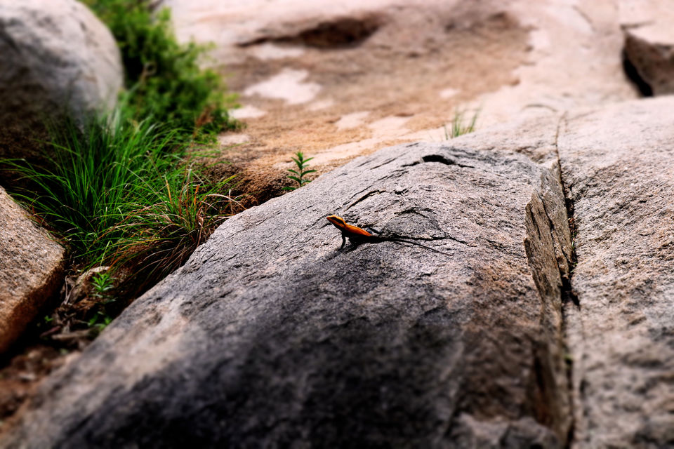 Photo of Rediscovering structure in the ruins of Hampi 3/4 by Subhangkar Das