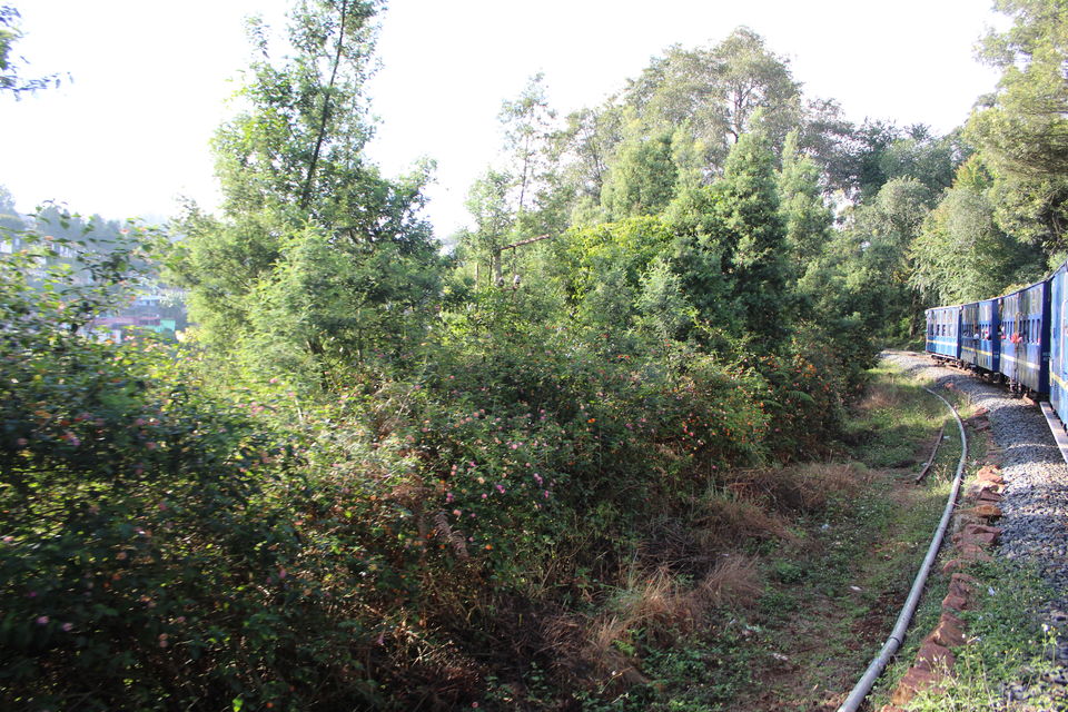 Photo of Queen of Hills Ooty 1/3 by Ayush Rajput