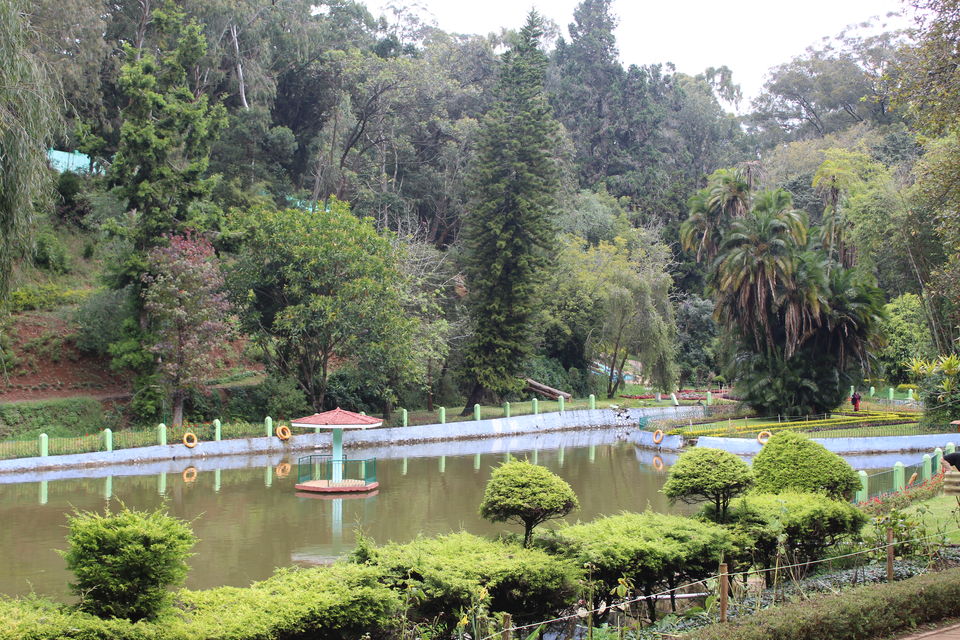 Photo of Ooty, Tamil Nadu, India by Ayush Rajput
