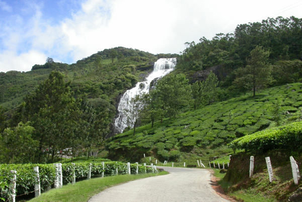 Photo of Memory of Munnar on a classic trip from school. by seasonz india holidays