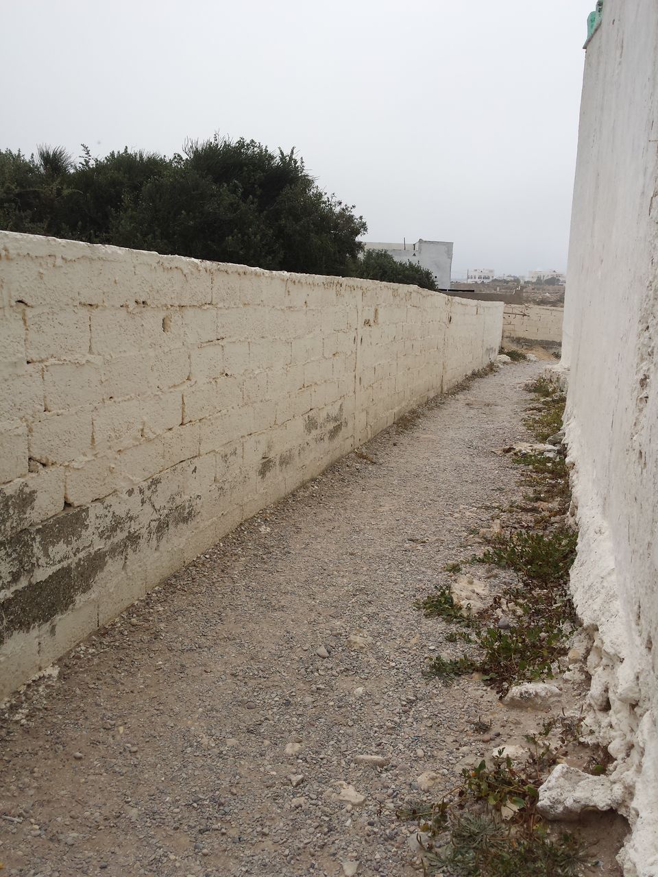 Photo of Essaouira, Maroc by Amina