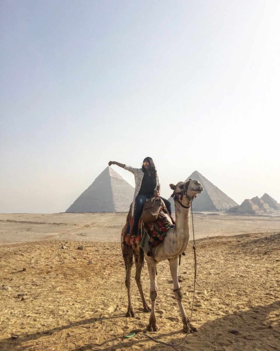 Photo of The Pharaohs are calling and you must go! 1/11 by Divya Iyer