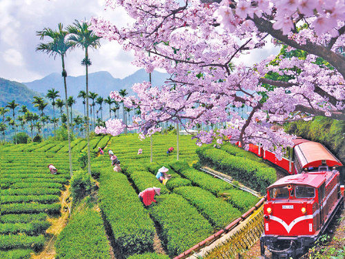 Photo of 10 Countries across 3 Continents and 1 visa to bind them all! 10/10 by Divya Iyer