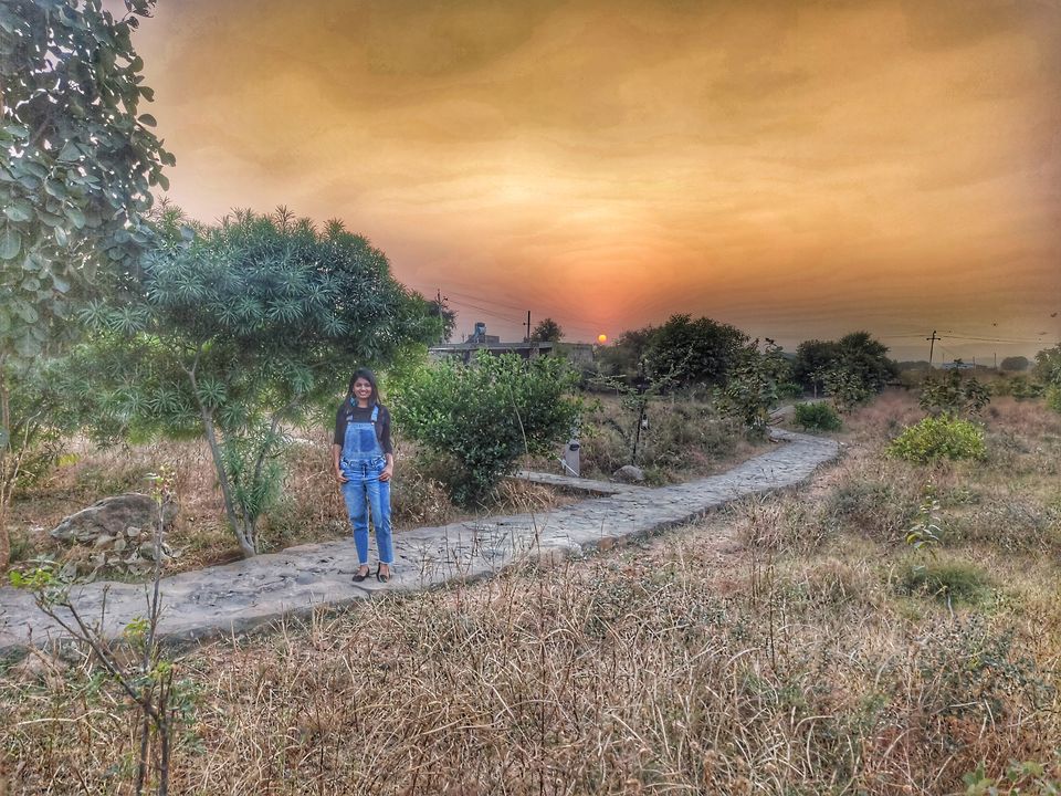 Photo of Spotting Stars and Stripes in Sariska by Divya Iyer