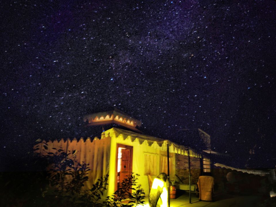 Photo of Spotting Stars and Stripes in Sariska 4/9 by Divya Iyer
