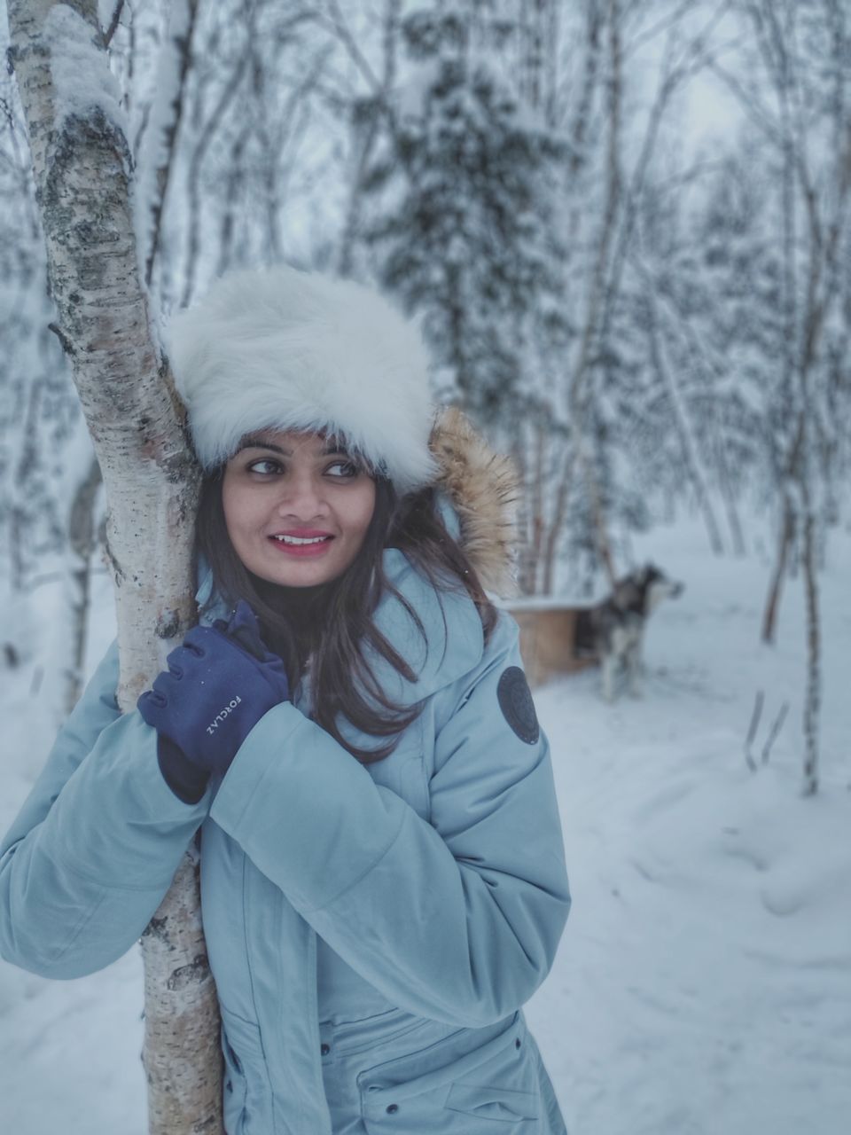 Photo of Skip Scandinavia. This is the cheapest place to see the Northern Lights. 2/7 by Divya Iyer