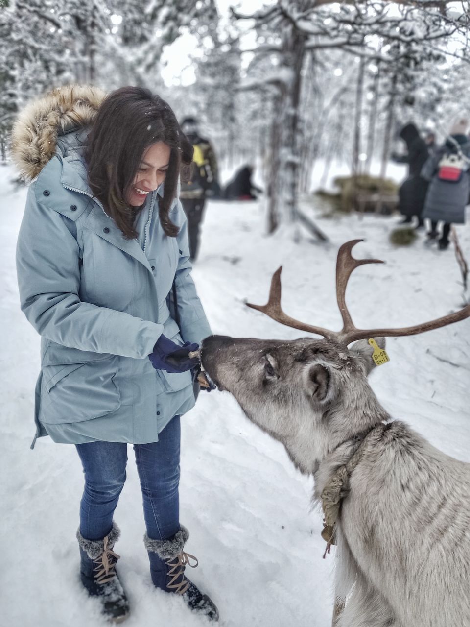 Photo of Skip Scandinavia. This is the cheapest place to see the Northern Lights. 4/7 by Divya Iyer