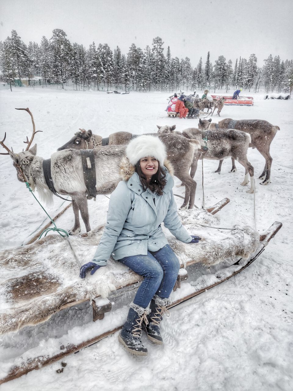 Photo of Skip Scandinavia. This is the cheapest place to see the Northern Lights. 5/7 by Divya Iyer