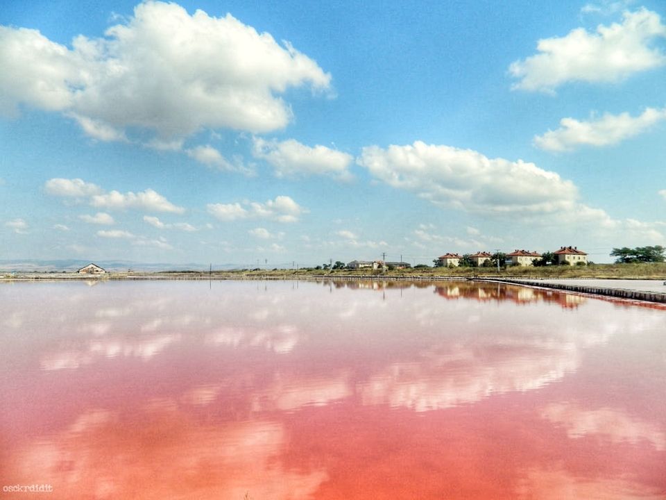 Photo of This Secret Pink Lake and Spa is perfect for your Instagram feed! And it is free too! 1/4 by Divya Iyer