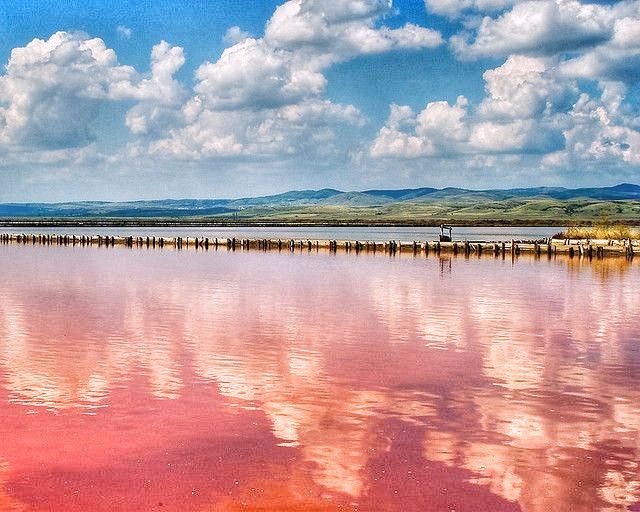 Photo of This Secret Pink Lake and Spa is perfect for your Instagram feed! And it is free too! 2/4 by Divya Iyer