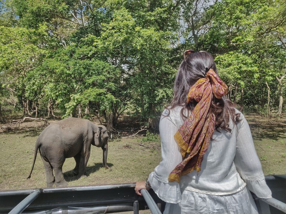 Photo of Your guide to the 12 most Instagram Famous spots of Sri Lanka! 2/12 by Divya Iyer