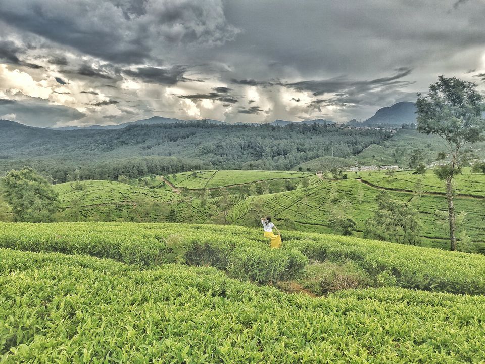 Photo of Your guide to the 12 most Instagram Famous spots of Sri Lanka! 8/12 by Divya Iyer