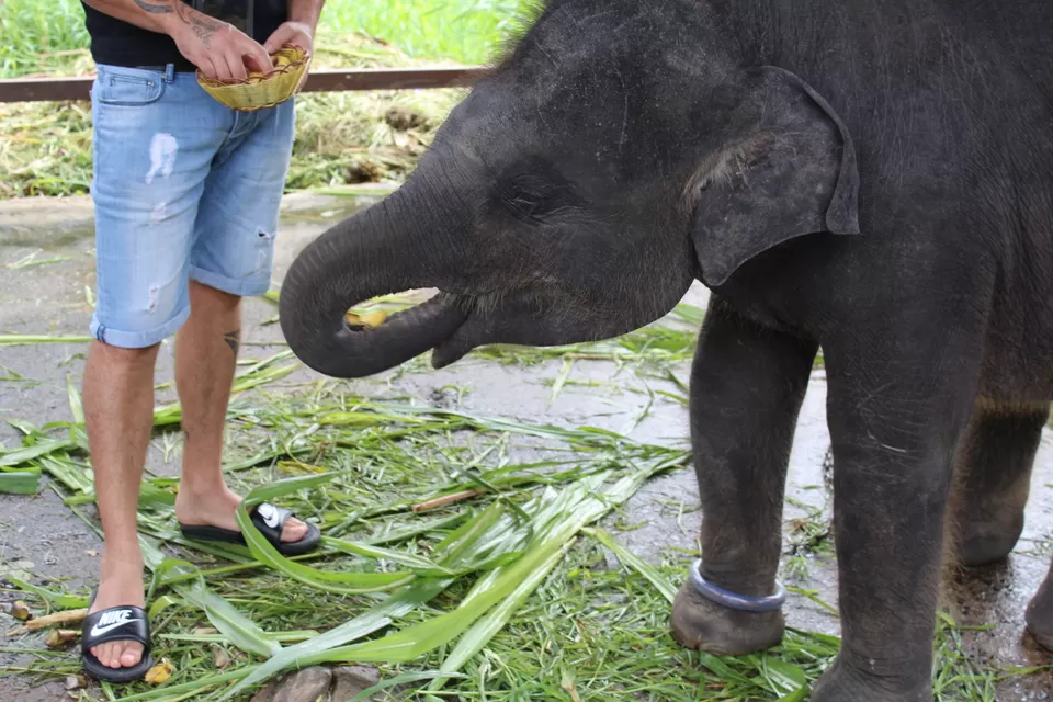 Photo of Phuket Thailand by Vinoth Kumar