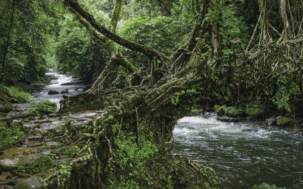 Photo of 10 most beautiful tourist destinations in north east India 1/1 by Monica