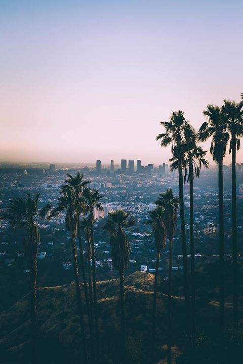 Photo of My Dream Destination: LA 1/1 by Eva Cooper