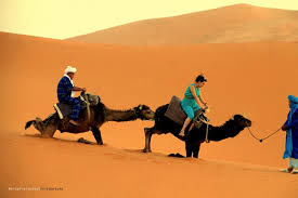 Photo of Camel trekking in merzouga 1/1 by Said amraoui