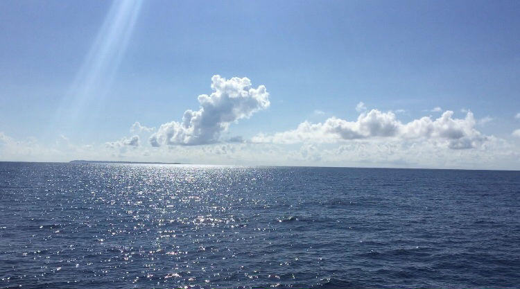 Photo of Havelock Island, South Andaman, Andaman and Nicobar Islands, India by Vidya Sundaram