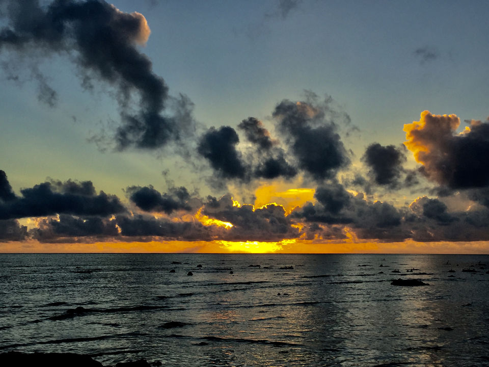 Photo of Havelock Island, South Andaman, Andaman and Nicobar Islands, India by Vidya Sundaram