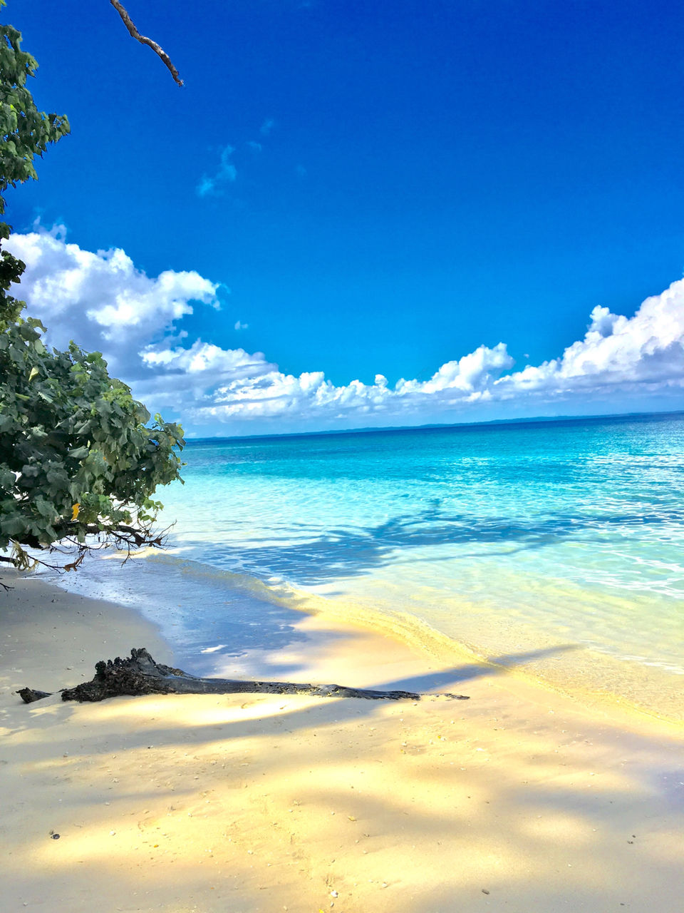 Photo of Elephant Beach, South Andaman, Andaman and Nicobar Islands, India by Vidya Sundaram