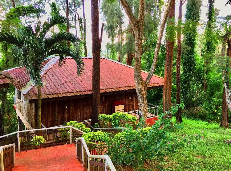 Photo of Megapode Resort, Delanipur, Port Blair, Andaman and Nicobar Islands, India by Vidya Sundaram