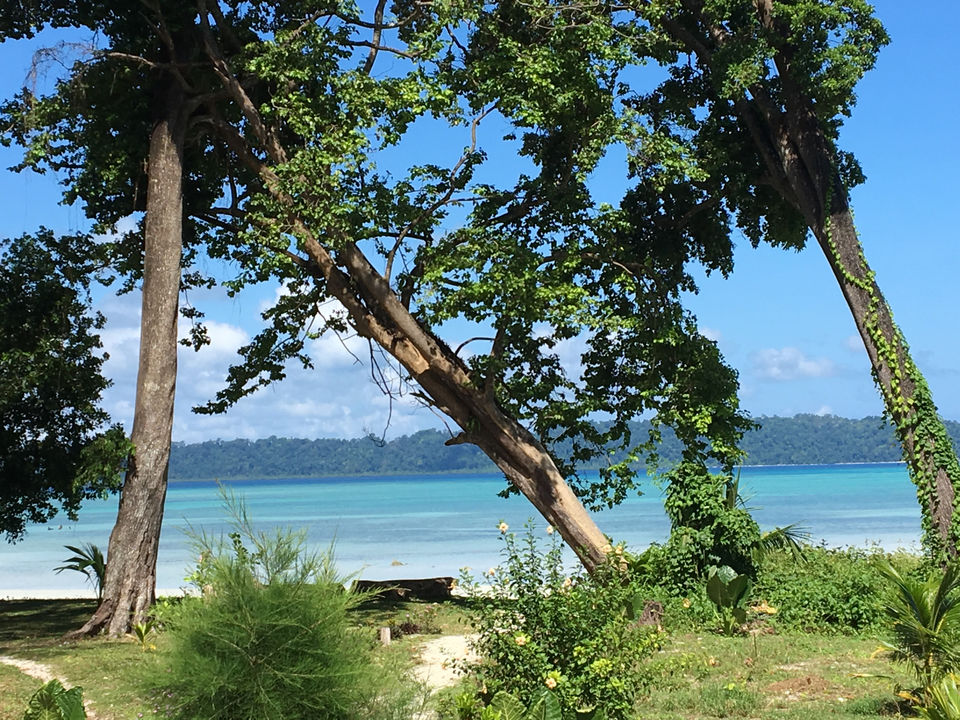Photo of Dolphin Resort, Andaman Tourism, South Andaman, Andaman and Nicobar Islands, India by Vidya Sundaram