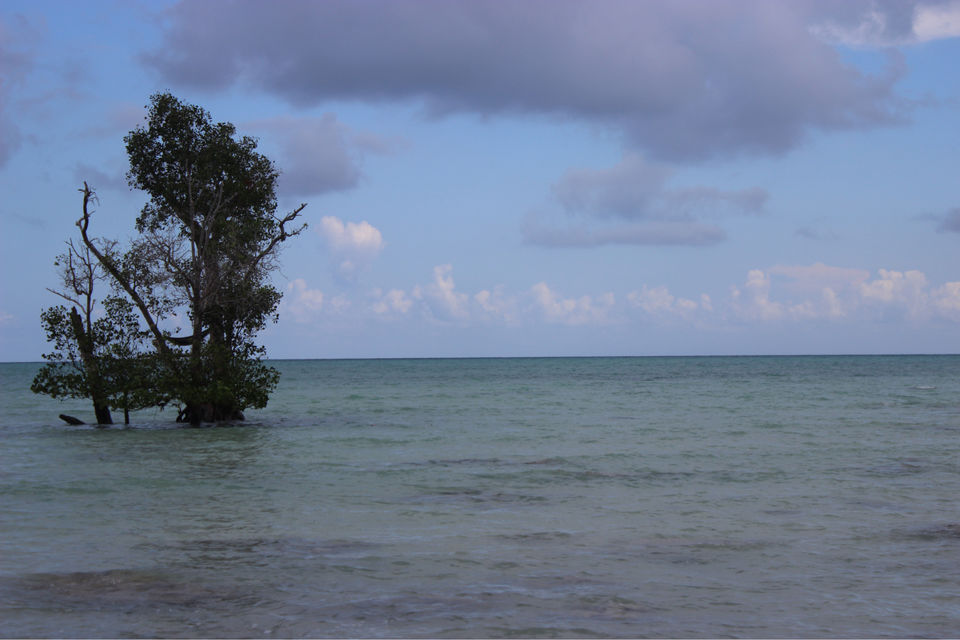 Photo of Dolphin Resort, Andaman Tourism, South Andaman, Andaman and Nicobar Islands, India by Vidya Sundaram
