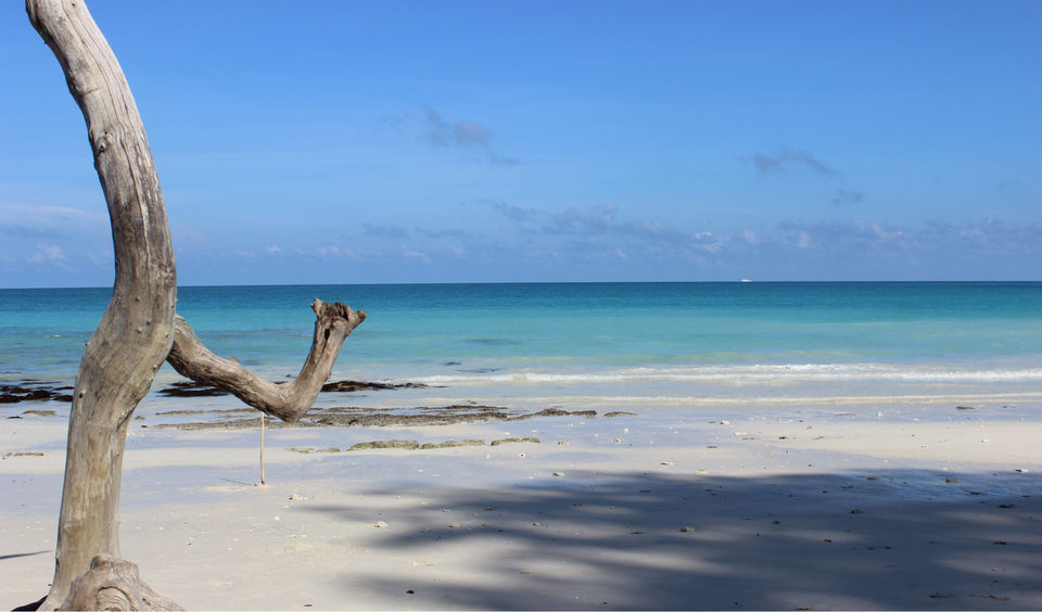 Photo of Kalapathar Beach, South Andaman, Andaman and Nicobar Islands, India by Vidya Sundaram