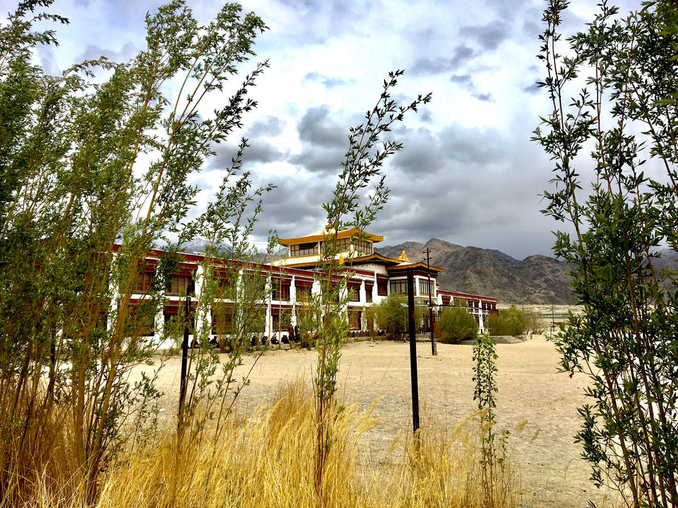 Photo of Ladhak - A Cold Desert Hidden by the Himalayas by Vidya Sundaram