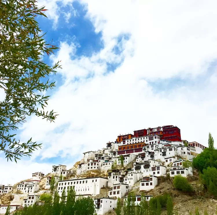 Photo of Thikse Monastery, Leh by Vidya Sundaram 