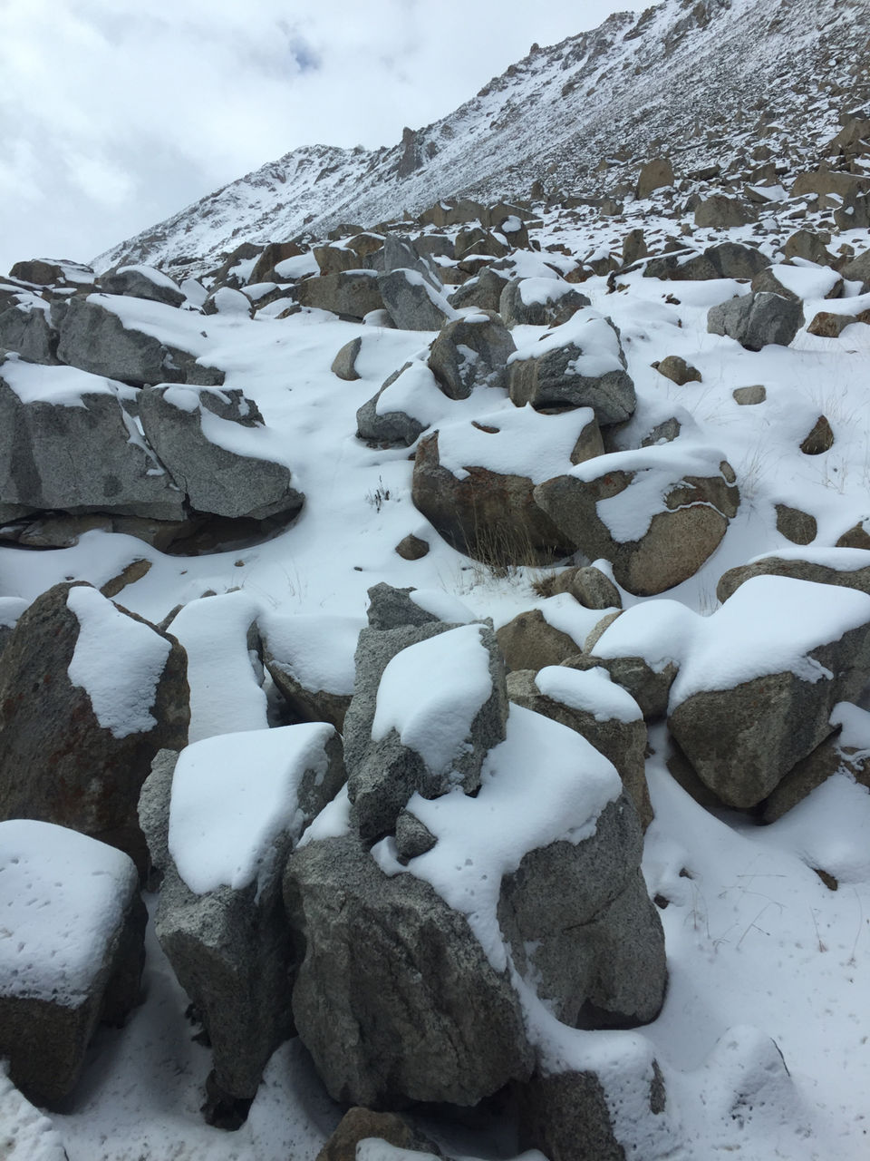 Photo of Ladhak - A Cold Desert Hidden by the Himalayas by Vidya Sundaram