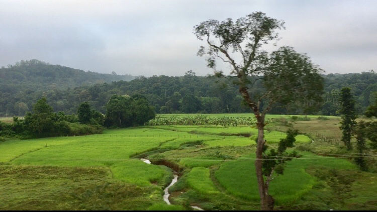 Photo of UNPLUG TO RECHARGE by Vidya Sundaram