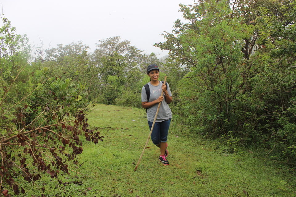 Photo of Sharavathi Adventure Camp, Jog Falls, Karnataka, India by Vidya Sundaram