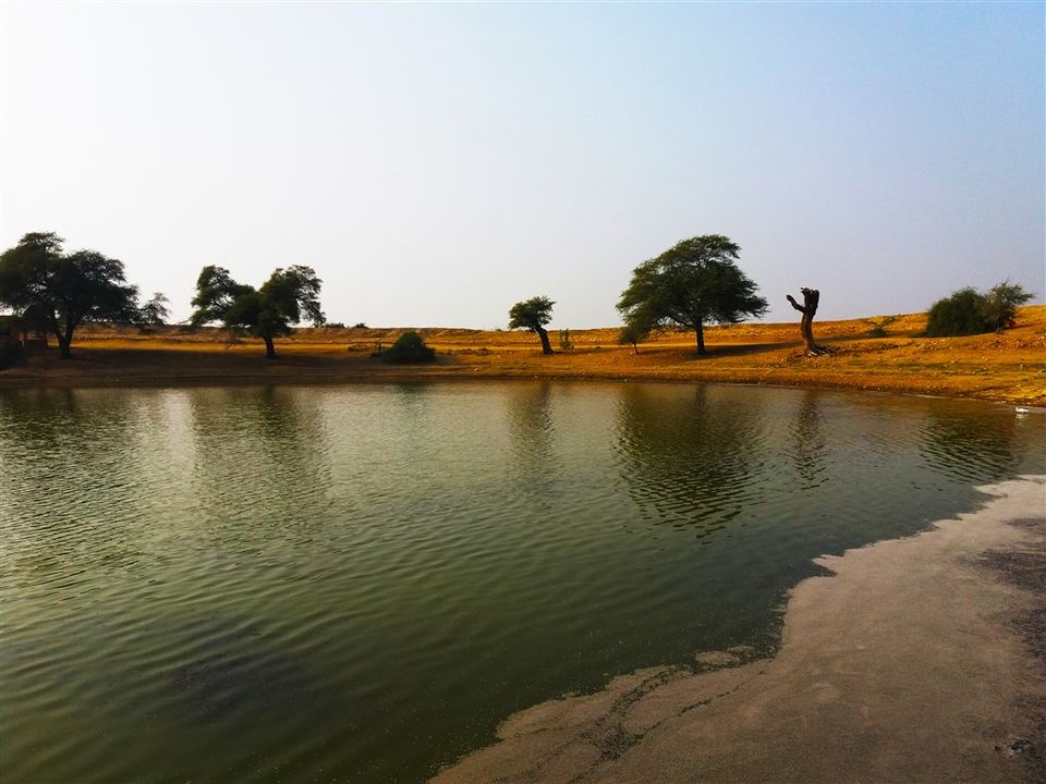 Photo of Camel Safari and Desert Camping at Jaisalmer (Part 1) in non-touristic area by Raktim
