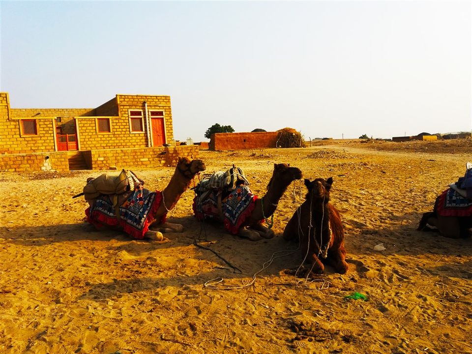 Photo of Camel Safari and Desert Camping at Jaisalmer (Part 1) in non-touristic area by Raktim